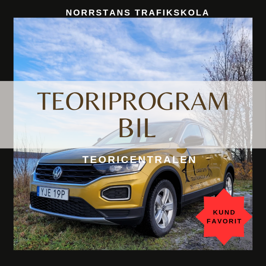 Teoriprogram B